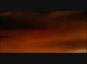 videoplayback_thumb.jpg