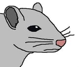 feels bad mouse