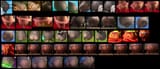 gloria_s_butt_collage_5_by_chartist24_ddx1elo-fullview