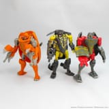 BeastWBasics