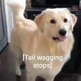 1732204770002506