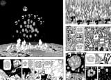 7270978-images