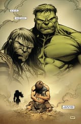 this-is-where-you-hug-him-incredible-hulk-v0-ip2xs0l4bw7b1