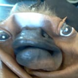 1404089308492