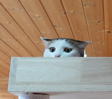 Miri scared