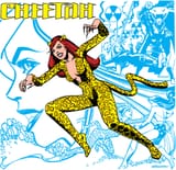 Cheetah_II.JPG