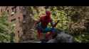 spidercgi_thumb.jpg