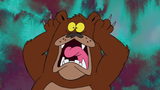 Bear scream