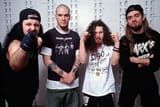 Pantera