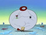 Reef_Blower_066