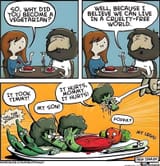 FB_IMG_1751987247917