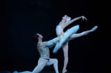 swanlake