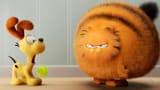 garf