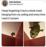 denbow-nickdenbow11-keep-forgetting-have-shrek-mask-hanging-my-ceiling-and-every-time-see-scream