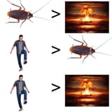 scaling