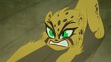 MeetTheCheetah_29
