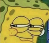 sponge