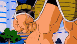 nappa-vegeta