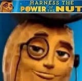 nut