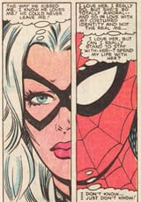 SpiderCat_12
