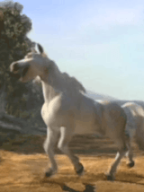 shrek-donkey-transformation-s36n6gn26a1ys41g
