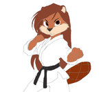 Willow Karate Colored