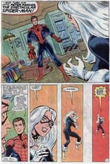 peter-parker-the-spectacular-spider-man-87-black-cat-mask
