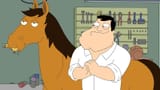 American-dad-horse