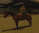 ilovehorses