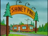 Shiney Pines