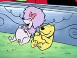 Cliffordcookie15