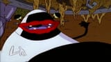 Oblina_huge_1
