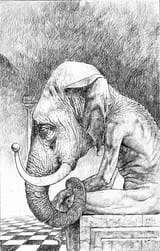 elephant