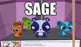 SAGE SAGE SAGE