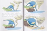 Page24-25