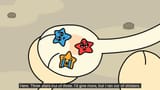 uwoohsticker