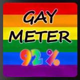gay meter