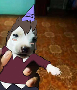 hechogggg