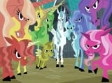 foster ponies