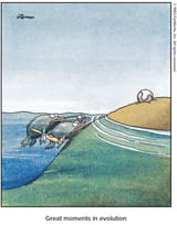 2025-07-13 FarSide