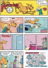 2025-07-13 Marmaduke