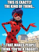 Ladybug-Faggot