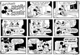 feeder mickey