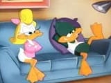 plucky&amp;shirley