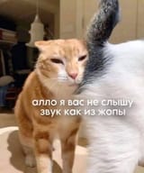 GaHKUoEWwAA95pN