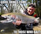 Bait_Success