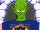 Piccolo Day