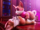 Mitzi queens corgi trumps thicc hussy doge