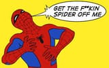 get the spider off