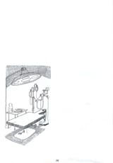 38 quino-therapie